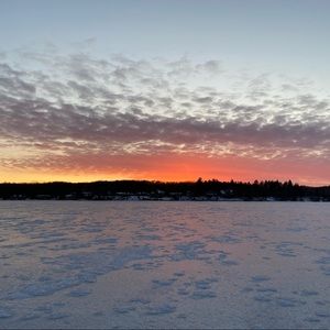 Meet your Posher, Noah